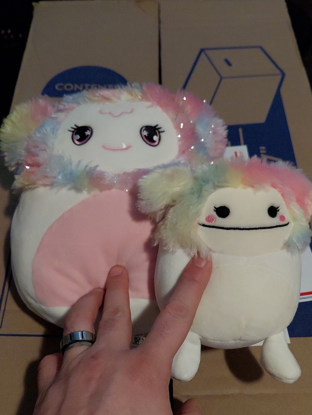 Squishmallows Rainbow Fluff Small Pets Duo - Multicolor Squishmallow